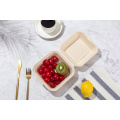 6inch Einweg-Zuckerrohr-Bagasse-Lunchbox mit Muschel